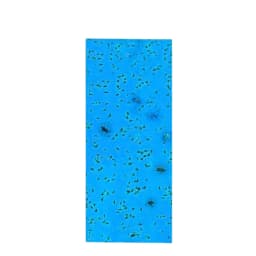 Katyayani Blue Sticky Traps, Effective Solution For Controlling Flying Pests (30 cm x 12 cm) 1