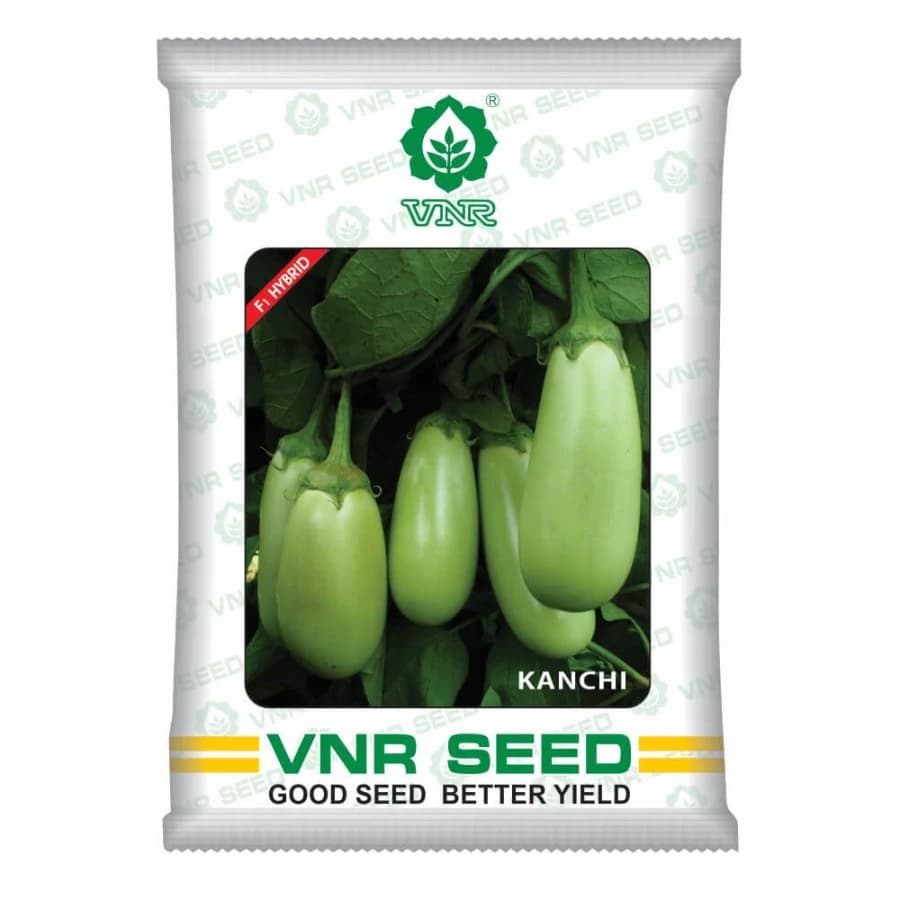 VNR Kanchi F1 Hybrid Brinjal Seeds, Oval Shape, High Yield & Light Green Fruits - Image 1