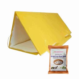 SK Agrotech Leucinodes Orbonalis (Brinjal Fruit and Shoot Borer) Pheromone Trap With Lure - Effective Pest Management Solution 15