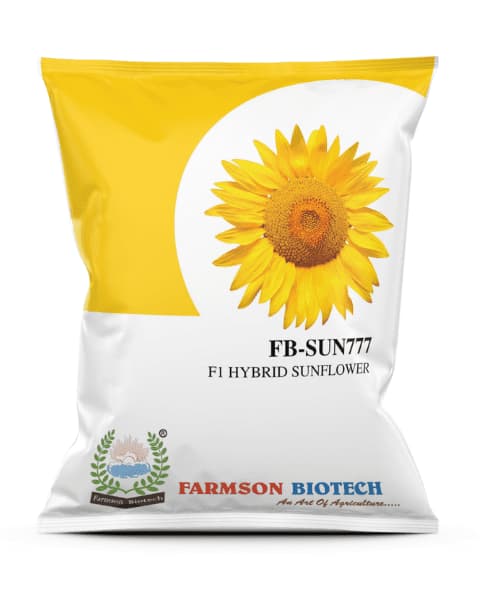 Farmson FB Sun777 F1 Hybrid Sunflower Seeds, Robust Growth, and Semi Erect, Plants Are Medium Tall (Buy 1 Get 1 Free) - Image 1