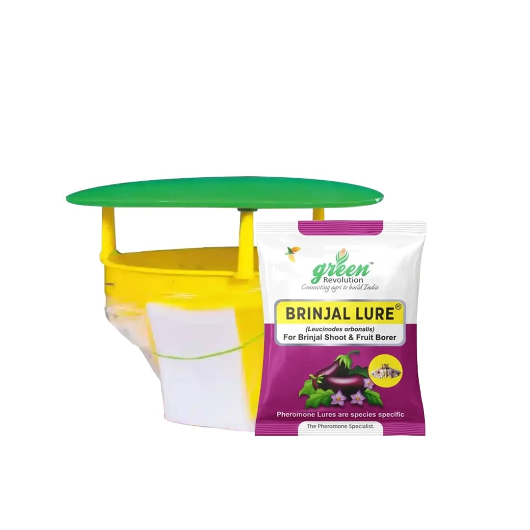 Funnel Pheromone Trap with Brinjal Lucin-O-Lure for (Leucinodes Orbonalis) Brinjal Fruit and Shoot Borer Insect. - Image 1
