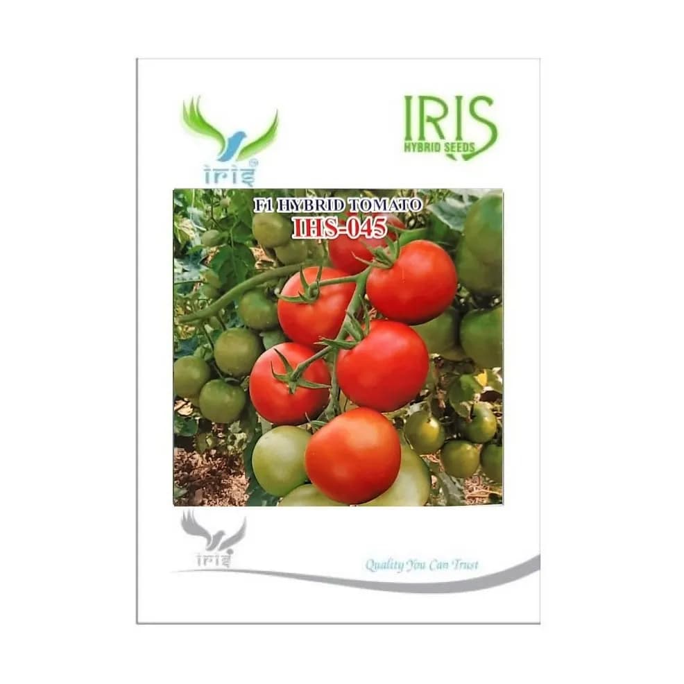 Iris IHS-045 Tomato Seeds - (Tamatar Seeds) Oblate Round, Glossy Red, TYLCV Tolerant Variety - Image 1