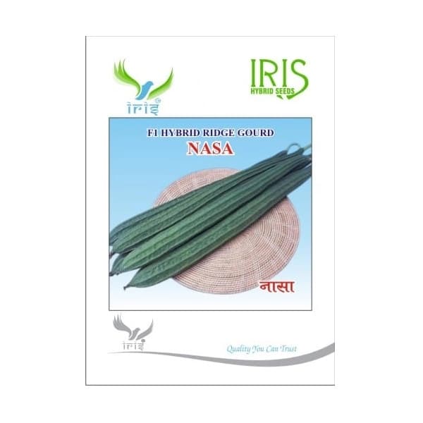 Iris Nasa F1 Hybrid Ridge Gourd Seeds, High Yield, Straight Fruits And Vigorous Growth - Image 1