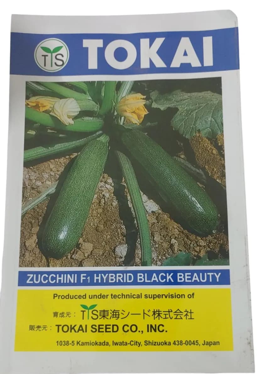 Tokai F1 Hybrid Zucchini Black Beauty Seeds, Vigorous Growing Bush Variety. - Image 1