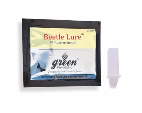 Pheromone Trap & Lure for RB (Rhinoceros Beetle) KOKO Activator Free, For Coconut, Date Palm, Oil Palm, Arecanut Palm. - Image 7
