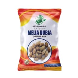 SRI SAI FORESTRY - Melia Dubia Seeds, Malabar Neem Seeds, Fast Growing Tree 1
