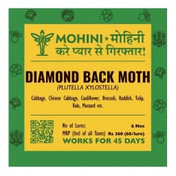 Biowall Mohini Diamondback Moth Plutella Xylostella, Pheromone Lure For IPM And Mass Trapping 1