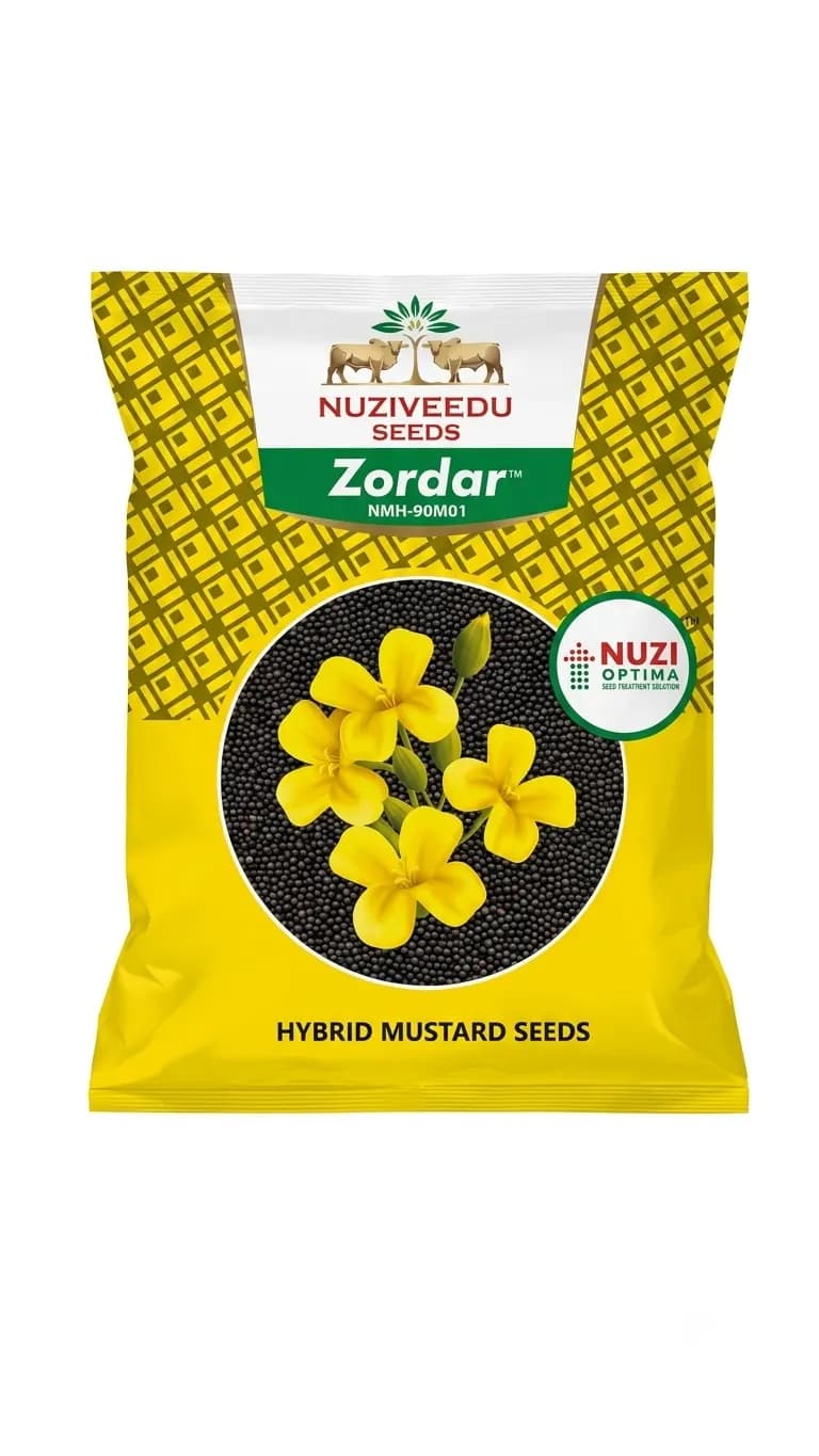 Nuziveedu Zordar NMH-90M01 Hybrid Mustard Seeds - High Yield & Oil Pack - Image 1