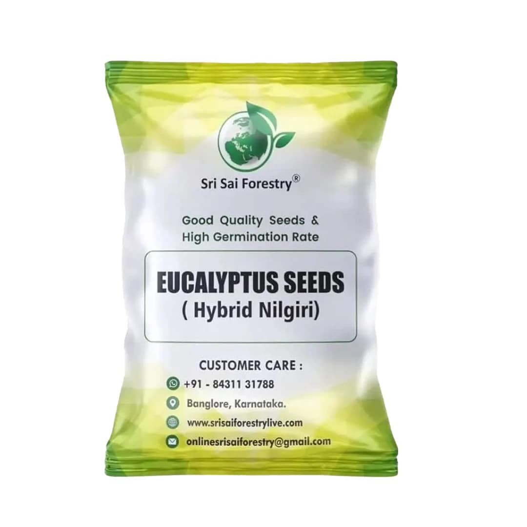 SRI SAI FORESTRY - Eucalyptus Nilgiri , Best Paper wood Tree, Hard Timber & Fast Growing Firewood Tree seeds