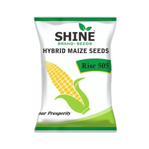 Shine Rise 505 Hybrid Maize Seeds, Makka Ke Beej, High Yield Potential Corn - Image 1