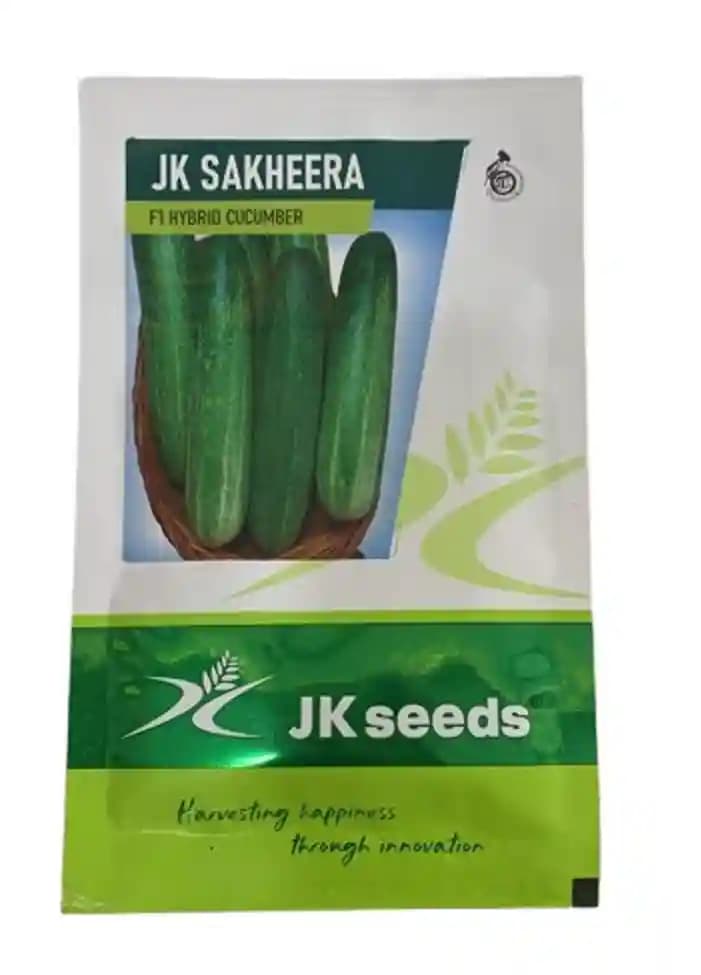 JK F1 హైబ్రిడ్ సఖీరా దోసకాయ విత్తనాలు, శక్తివంతమైన పంట, మంచి పక్క కొమ్మలు, ఆకుపచ్చ రంగు - Image 1