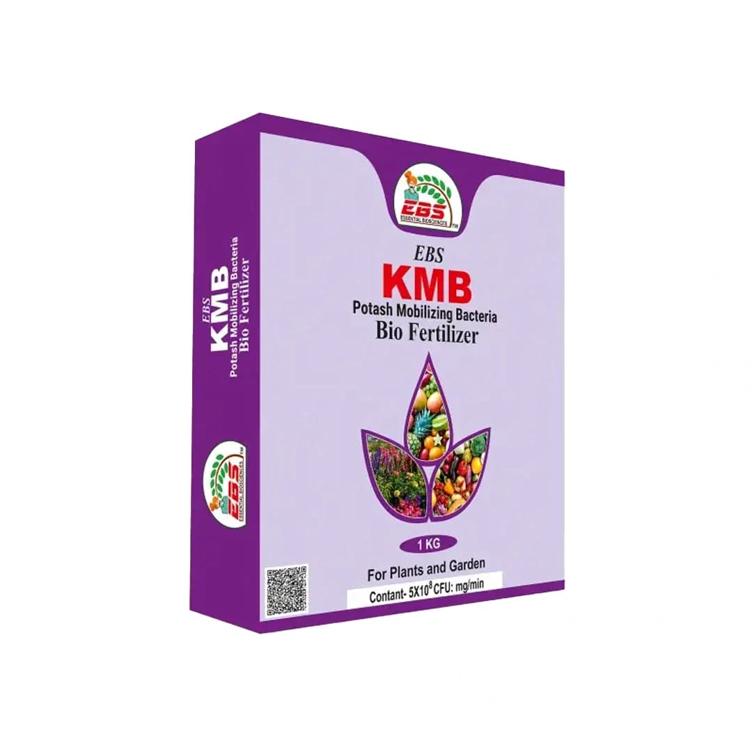 EBS KMB Potash Mobilizing Bacteria Bio-Fertilizer - Image 1
