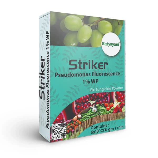Katyayani Striker Pseudomonas Fluorescens Bio Fungicide, Controls Soil Borne, Seed Borne Pathogens, Root Knot Nematodes - Image 1