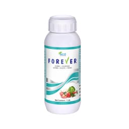 FOREVER - Special Plant Growth Promoter, Yield Enhancer, and Plant Immunity Booster (Humic Acid + Amino Acid + Seaweed Extract + Fulvic + Cytokinin) 1