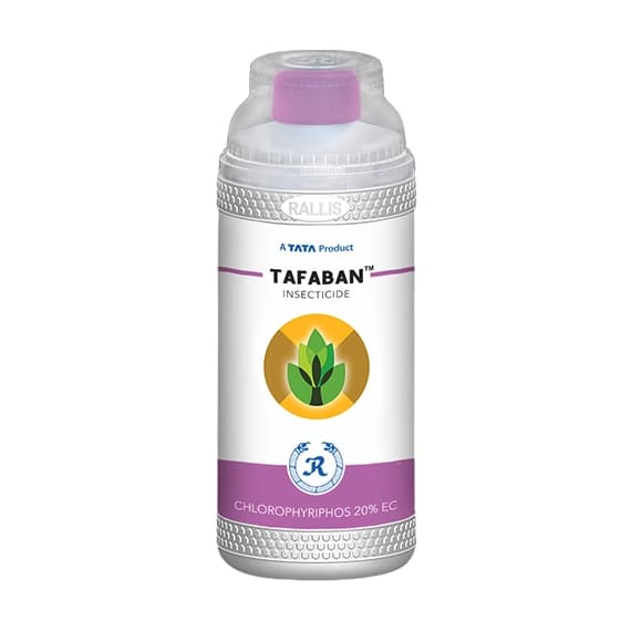 Tata Rallis Tafaban Chlorophyriphos 20% EC, Broad-Spectrum Contact And Stomach Insecticide.