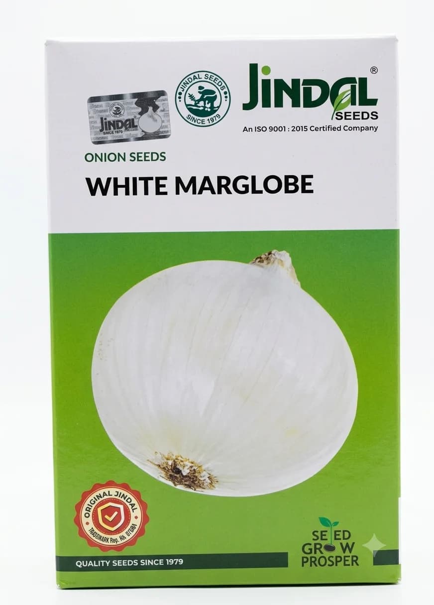 Jindal Seeds White Marglobe Onion Seeds Premium Quality Vegetable Seeds - Image 1