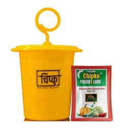 Chipku Pheromone Ecomax Trap With Melon Fly Lure (Bactrocera Cucurbitae) Feeding By The Larvae. For Gourds, Pumpkin, Tomato, Water Melon, Zucchini 1