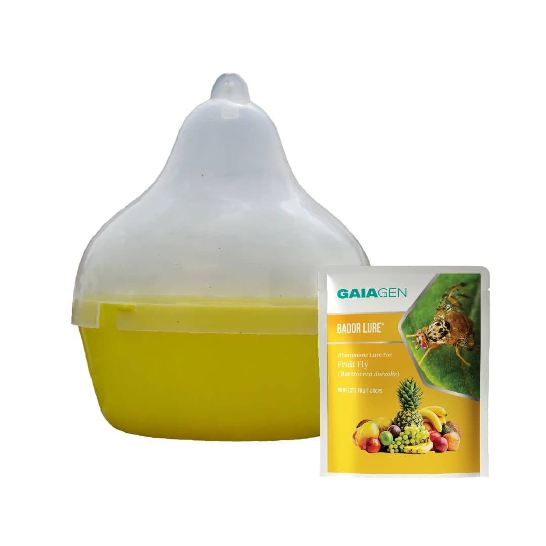 Gaiagen Bador Lure, Pheromone Lure For Fruit Fly (Bactrocera Dorsalis) And Insect Fly Trap, IMO Certified - Image 1