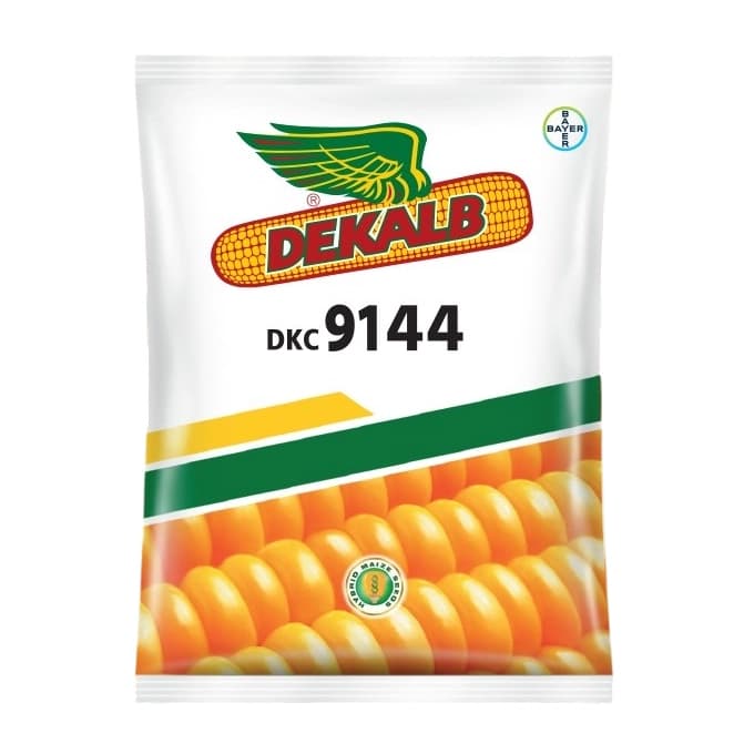 Bayer Dekalb 9144 Hybrid Maize Seeds, Corn Seed, High Yield, Wide Adaptability, Suitable For Kharif & Rabi