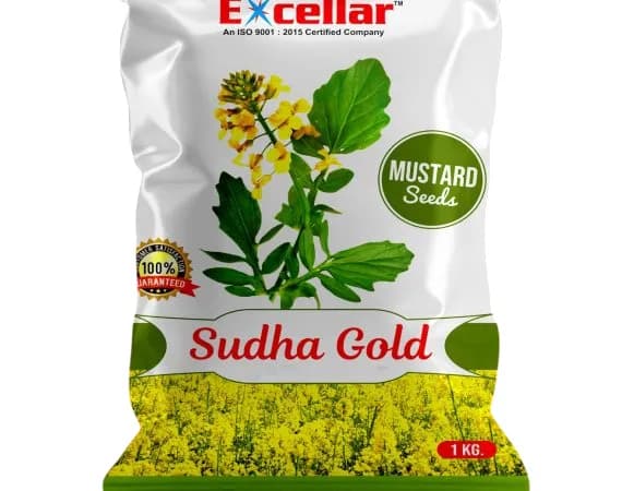 Excellar EX SUDHA GOLD Mustard Seeds (Black), Disease And Virus Tolerance Variety - Image 1
