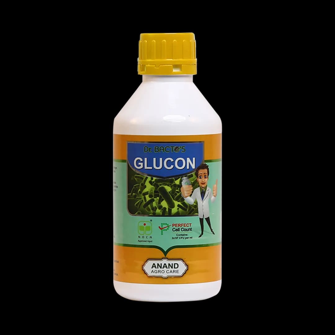 Dr. Bacto\'s Glucon, Nitrogen Fixation In Roots, Stems And Leaves of Sugarcane Plant, Promotes Root Proliferation And Increases Nutrient Uptake