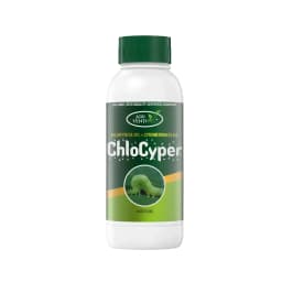 Agriventure Chlocyper (Chlorpyriphos 50% + Cypermethrin 5% Ec) Insecticides 1