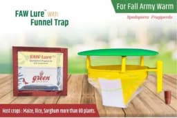 Funnel Trap With FAW (Fall Army Worm or Spodoptera frugiperda Pheromone Lure) for Maize, Rice, Sugarcane and Other Crops. 6