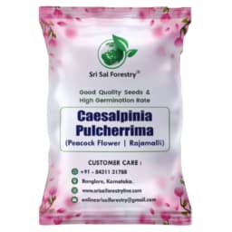 SRI SAI FORESTRY Caesalpinia pulcherrima, Peacock Flower, Rajamalli, Red Bird of Paradise Flowering Plant Seeds For Home Garden,Fencing & Terrace 1