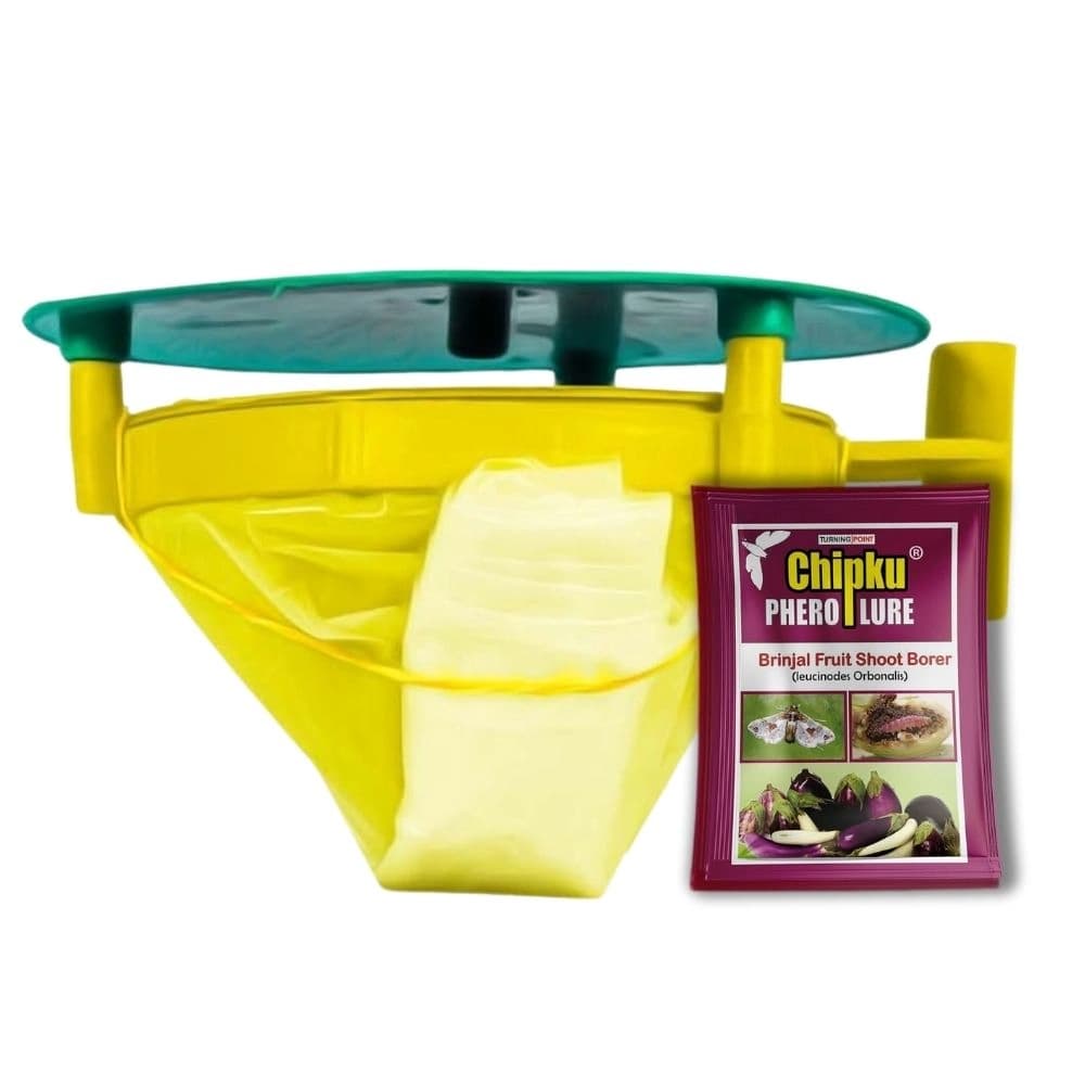 Chipku Pheromone Trap Funnel With Leucinodes Orbonalis Lure, To Catch Insect Moth Of Brinjal Fruit and Shoot Borer Lucin, Trap And Lure - Image 1