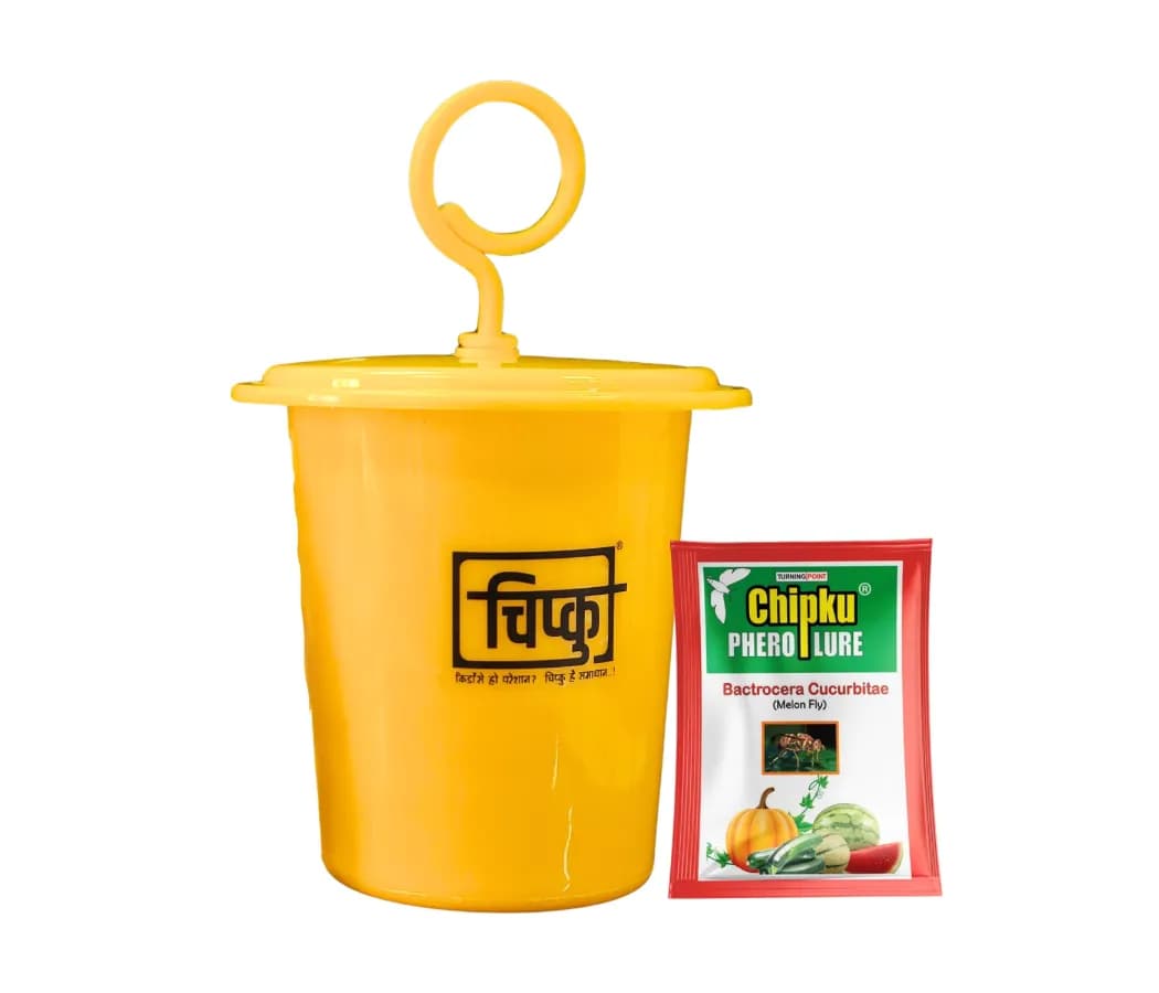 Chipku Pheromone Ecomax Trap With Melon Fly Lure (Bactrocera Cucurbitae) Feeding By The Larvae. For Gourds, Pumpkin, Tomato, Water Melon, Zucchini - Image 1
