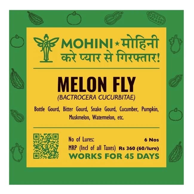 Biowall Mohini Melon Fly Bactrocera Cucurbitae, Pheromone Lure For Effective Pest Control