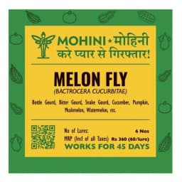 Biowall Mohini Melon Fly Bactrocera Cucurbitae, Pheromone Lure For Effective Pest Control 1