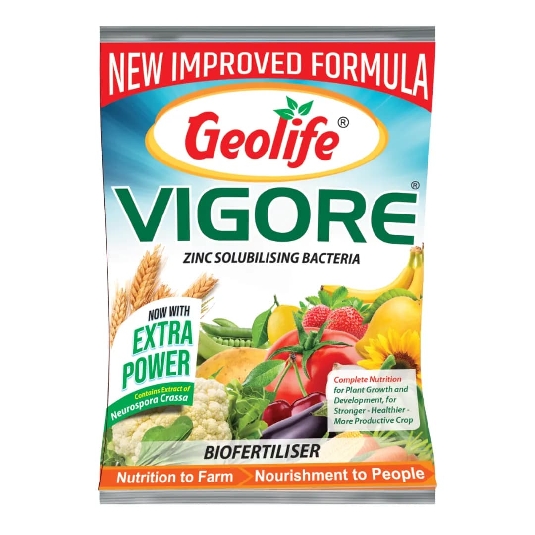 Geolife Vigore Zinc Solubilizing Bacteria Bio-Fertilizer, Enhanced Growth, Yield And Soil Health - Image 1