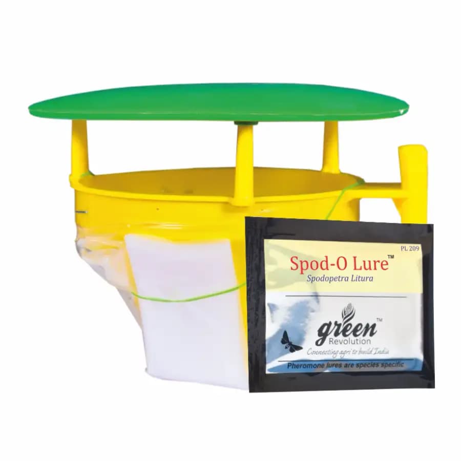 Funnel Trap with Spodo O Lure (Spodoptera Litura Pheromone) For Tobacco, Cotton, Red gram, Tomato and Chilli.