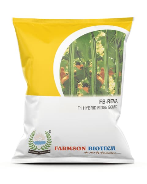 Farmson FB Reva F1 Hybrid Ridge Gourd Seeds, Tolerant To High Disease and Pest, Semi-Spreading Vines Growth - Image 1