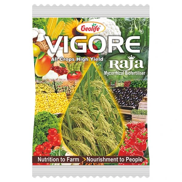 Geolife Vigore Raja, Organic Superior Yield Enhancer, Mycorrhizal Biofertilizer - Image 1