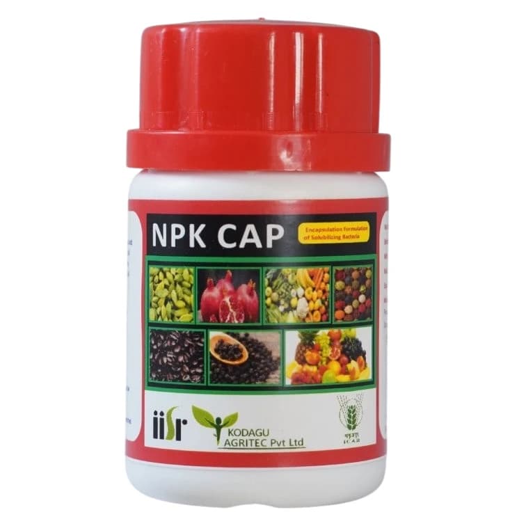 Kodagu NPK Cap Biofertilizer, Nitrogen Fixing, Phosphorus Solubilising And Potassium Mobilizing Bacteria, Effective For All Crops - Image 1