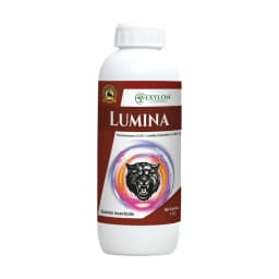 Exylon Lumina Thiamethoxam 12.6% + Lambda-Cyhalothrin 9.5% ZC Insecticide, Powerful Dual-Action Pest Control 1