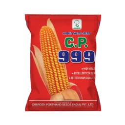 Maize Seeds 999 Hybrid - CP Seeds, Makka Ke Beej, High Yeilding, Deep Kernels, Best Quality Makka 1