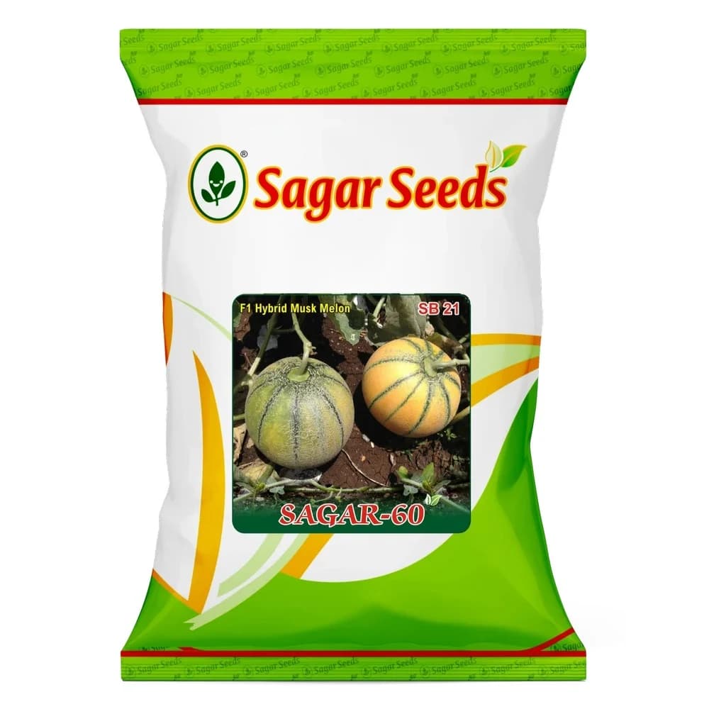 Sagar-60 Muskmelon Seeds - (Kharbuja Seeds) Yellow Skin With Green Stripes, High Yield, Orange Flesh - Image 1