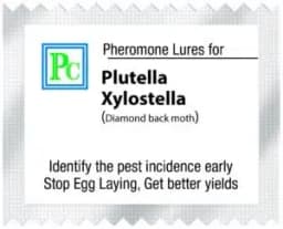 Pheromone Trap With Plutella Xylostella Trap and Lure Set (10 Pack), For Control of Plutella Xylostella, Diamond Back Moth 1