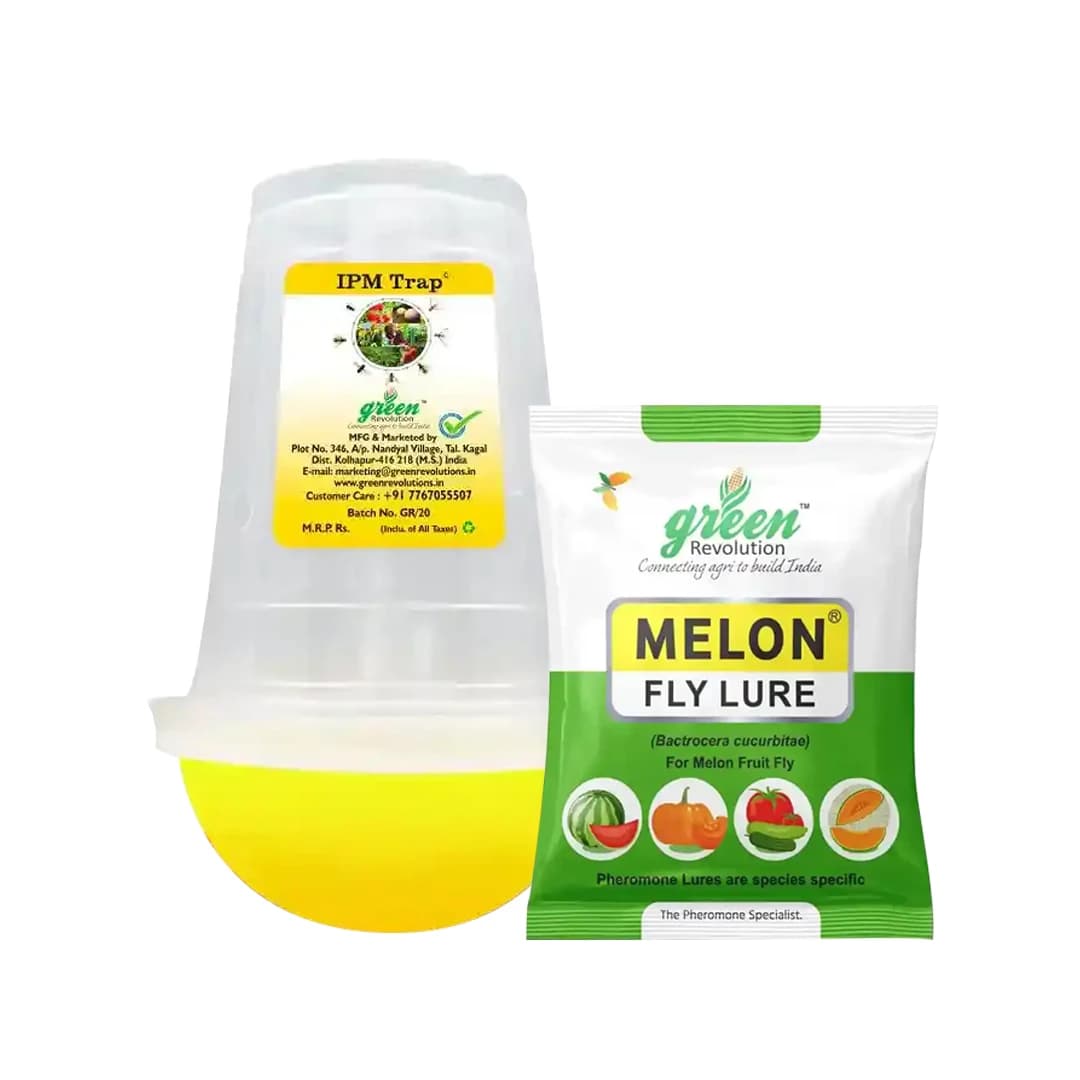 IPM Trap With Melon Fly Pheromone Lure For Controlling Bactrocera Cucurbitae. For Cucumber, Bottle Gourd, Bitter Gourd, Pumpkin, Water Melon - Image 1