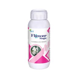 FLOWER MAGIC - Effective Flowering Stimulant and Enhancer, Combination Of N.B, Emulsifier, and Fulvic Acid 1