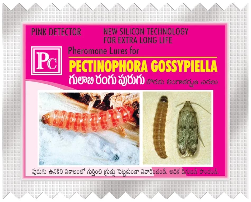 Pheromone Trap With Pectinophera Gossypilla Lure (10 Pack) Trap and Lure, Complete Set for Cotton Pink Bollworm, Protects Crops From Harmful Pests - Image 1