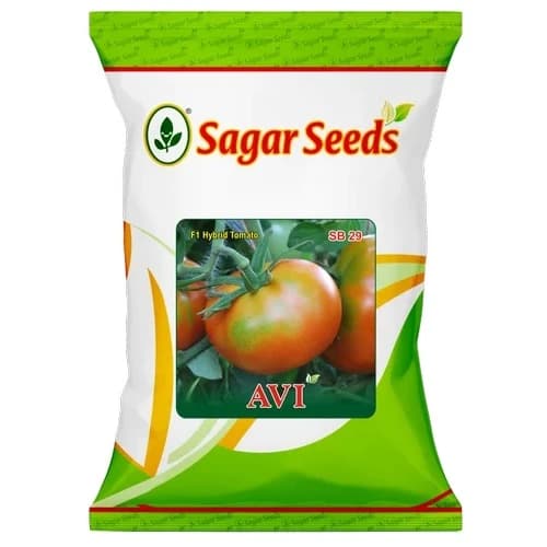 Sagar Avi F1 Hybrid Tomato Seeds, Early Maturity, High Yield, TYLCV Resistant - Image 1