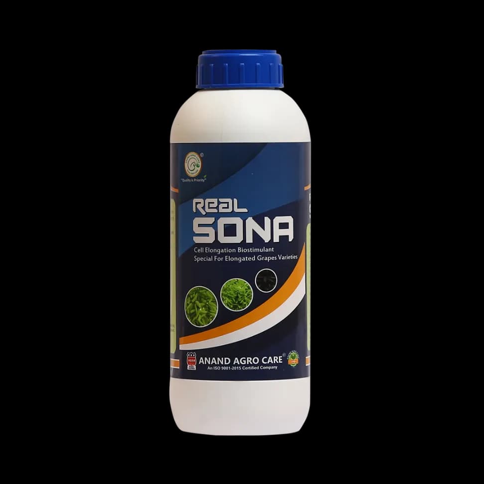 Real Sona (Grapes Special) Improves Length, Bunch Berry, Color & Weight Of Grapes