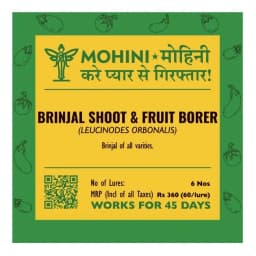 Biowall Mohini Brinjal Shoot And Fruit Borer Pheromone Lure For Leucinodes Orbonalis Control 1