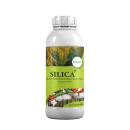 Katyayani Silica Plus Silica Solubilizing Bacteria Bio Fertilizer For Enhanced Silica Availability and Improved Plant Strength and Growth 1