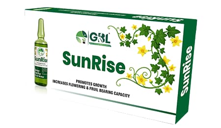 GBL Sunrise Pollination Stimulant, Growth Booster And Yield Enhancer For All Crops (2ml x 10 Pcs) - Image 1