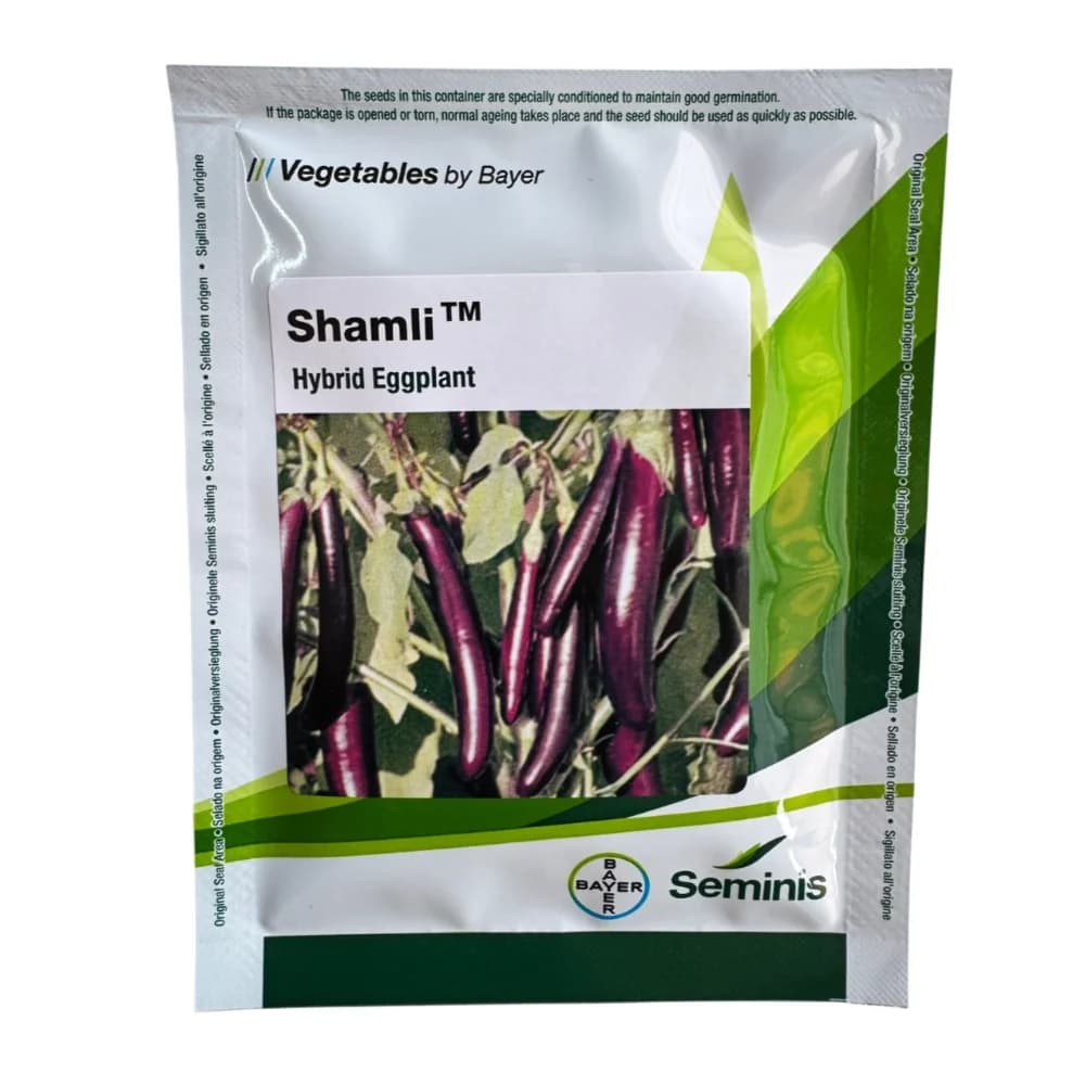 Seminis Shamli F1 Hybrid Eggplant Seeds, Brinjal Seeds, Long Purple Fruits, Early Harvesting Variety - Image 1
